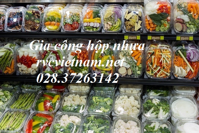 gia công hộp nhựa