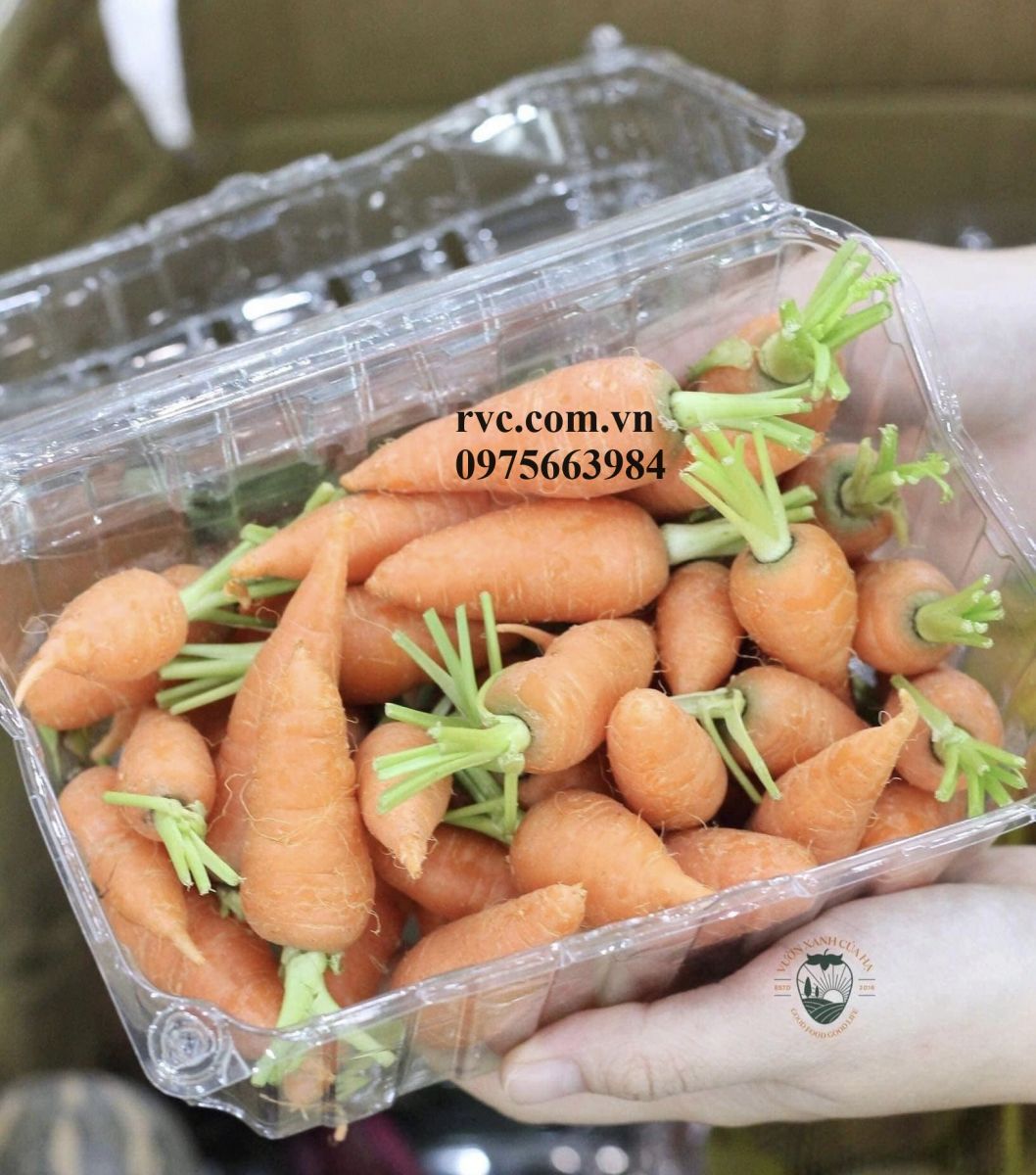 Hôp nhựa đựng trái cây