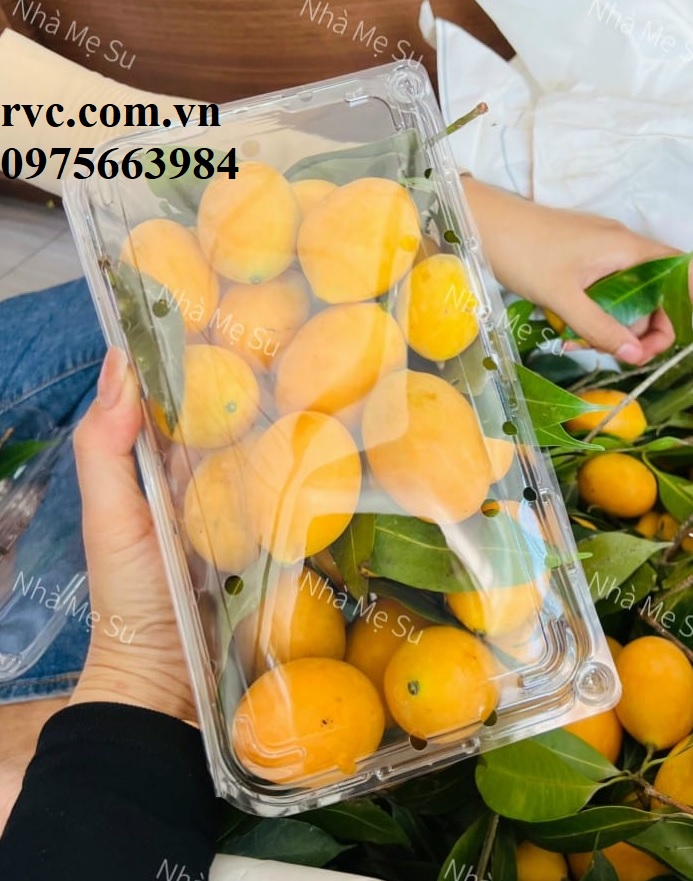 Hộp nhựa trái cây P1000A