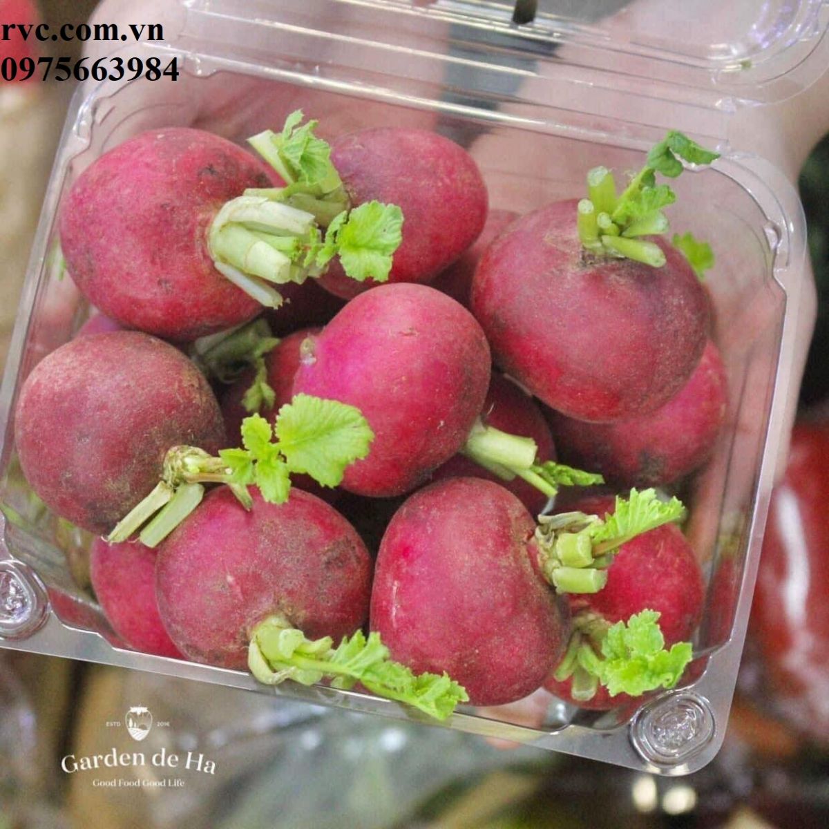 Hộp nhựa đựng hoa quả P500D