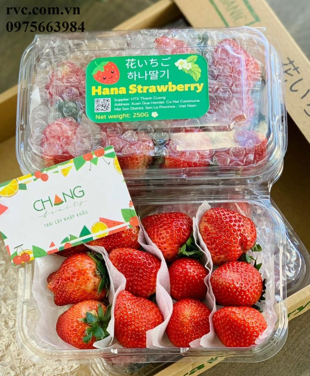 Hộp nhựa đựng trái cây 300g