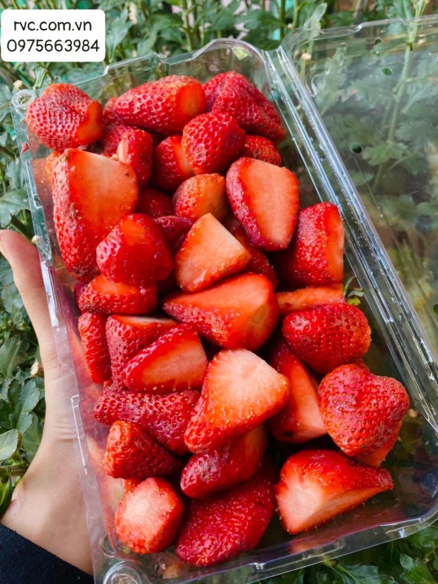 Hộp nhựa đựng trái cây P1000A