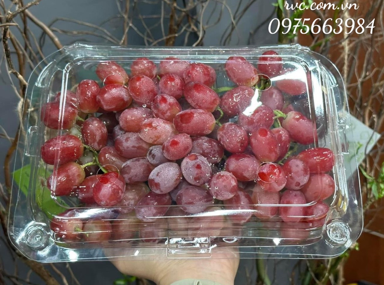 Hộp nhựa trái cây 1kg P1000C