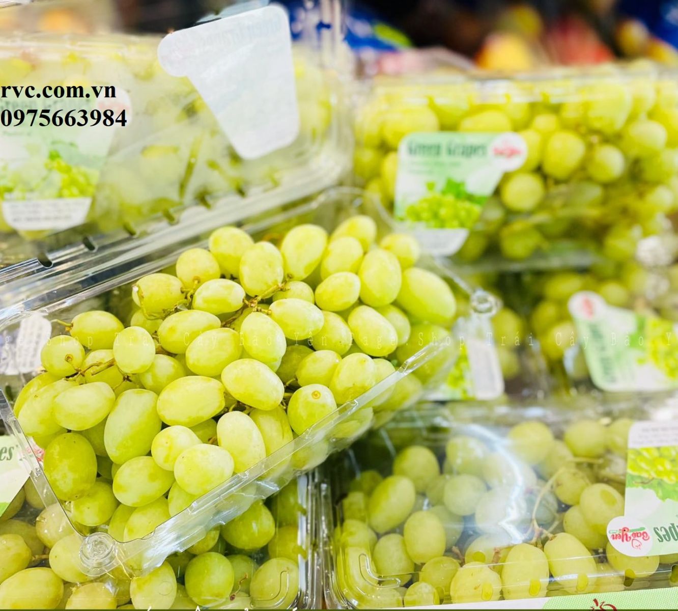 Hộp nhựa đựng nho