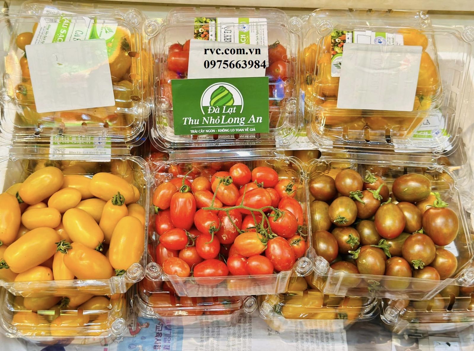 Hộp nhựa đựng hoa quả 500g