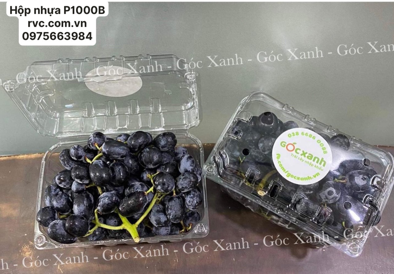 Hộp nhựa đựng nho