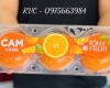 Hộp nhựa trong đựng 3 trái táo, cam, lê tiện lợi, chỉnh chu, sang trọng