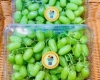 Hộp nhựa đựng trái cây P2000 - Bao bì hoàn hảo cho doanh nghiệp