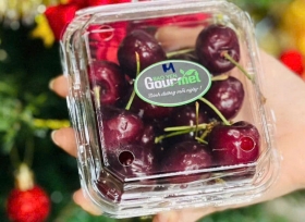 Hộp nhựa trái cây P250A đẹp, sang trọng, tiện lợi