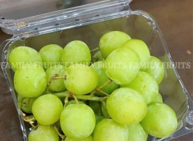 Hộp nhựa trái cây P500D bao bì chuyên nghiệp cho kinh doanh nông sản