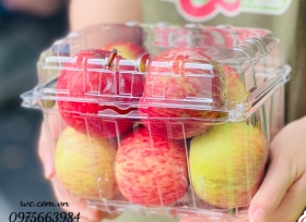 Hộp nhựa trái cây P1000B - Bao bì đóng gói không thể thiếu cho nông sản