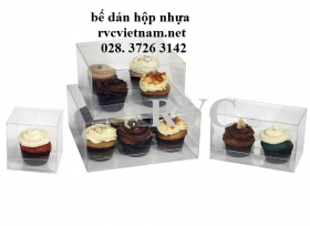 BẾ DÁN HỘP NHỰA