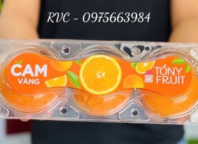 Hộp nhựa trong đựng 3 trái táo, cam, lê tiện lợi, chỉnh chu, sang trọng