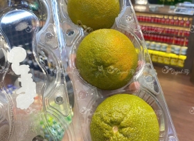 Mua hộp nhựa đựng 3 trái táo, cam, lê ở đâu?