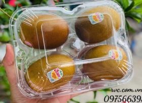 Tìm mua mẫu hộp nhựa đựng 4 trái kiwi chất lượng, giá tại xưởng