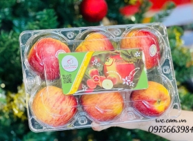 Chuyên sỉ hộp nhựa đựng 6 trái táo tại Sài Gòn