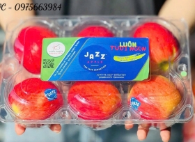 Nâng cao chất lượng sản phẩm với hộp nhựa đựng 6 trái táo