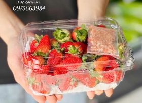 Vì sao nên chọn mua hộp nhựa trái cây 500g nhà RVC?