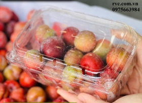 Hộp nhựa trái cây P500B - Giải pháp nâng cao chất lượng nông sản