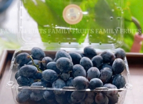 Bảo quản nông sản hiệu quả với hộp nhựa trái cây P1000A