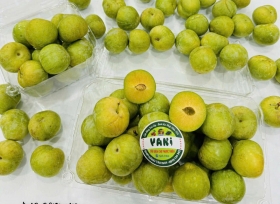 Hộp nhựa trái cây và những giá trị mà nó mang lại cho người dùng