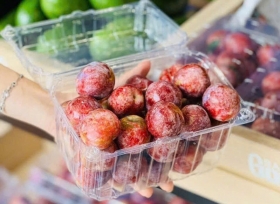 Vì sao hộp nhựa trái cây P1000B là lựa chọn thông minh?