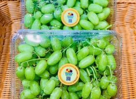 Hộp nhựa đựng trái cây P2000 - Bao bì hoàn hảo cho doanh nghiệp