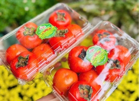 Hộp nhựa đựng trái cây 1kg P1000A