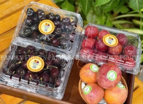 Nâng cao giá trị nông sản với hộp nhựa trái cây nhà RVC.