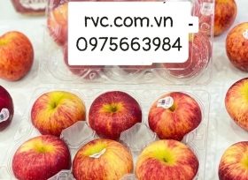 Tầm quan trọng của hộp nhựa đựng 6 trái táo đối với người kinh doanh.