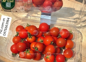 Hộp nhựa P350A - Bao bì không thể thiếu tại các cửa hàng trái cây, siêu thị.