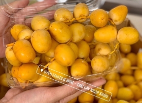 Tầm quan trọng của hộp nhựa trái cây P500B RVC.