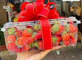 Những ưu điểm nổi bật của hộp nhựa đựng dâu tây nhà RVC