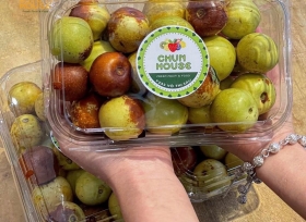 Hộp nhựa trái cây P500B - Giải pháp bảo quản nông sản nhanh chóng, tiện lợi, hiệu quả