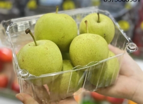 Lưu ngay đơn vị cung cấp hộp nhựa trái cây P1000B tại Sài Gòn