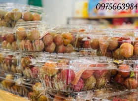 Bảo quản nông sản hiệu quả với hộp nhựa đựng trái cây 500g