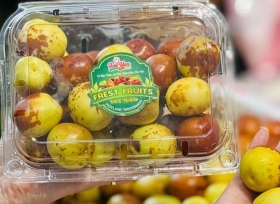 Địa chỉ bán hộp nhựa trái cây 500g rẻ nhất hiện nay.