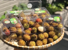 Hộp nhựa trái cây P500D: Bí quyết bảo quản nông sản hiệu quả