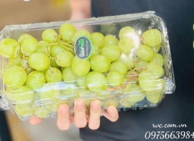 Tại sao nên lựa chọn hộp nhựa đựng trái cây P1000A nhà RVC?