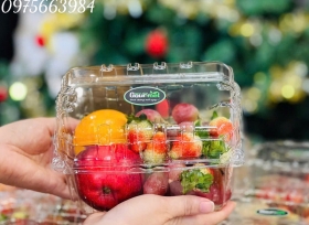 Hộp nhựa trái cây P1000B : Nâng tầm giá trị nông sản