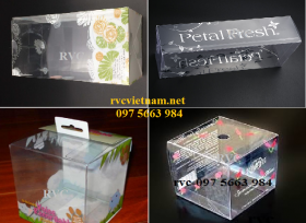 CÔNG TY IN ẤN HỘP NHỰA